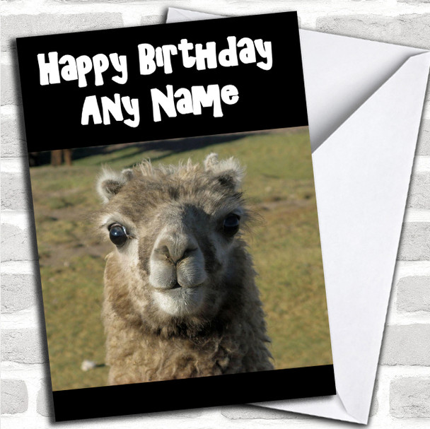 Llama Personalized Birthday Card