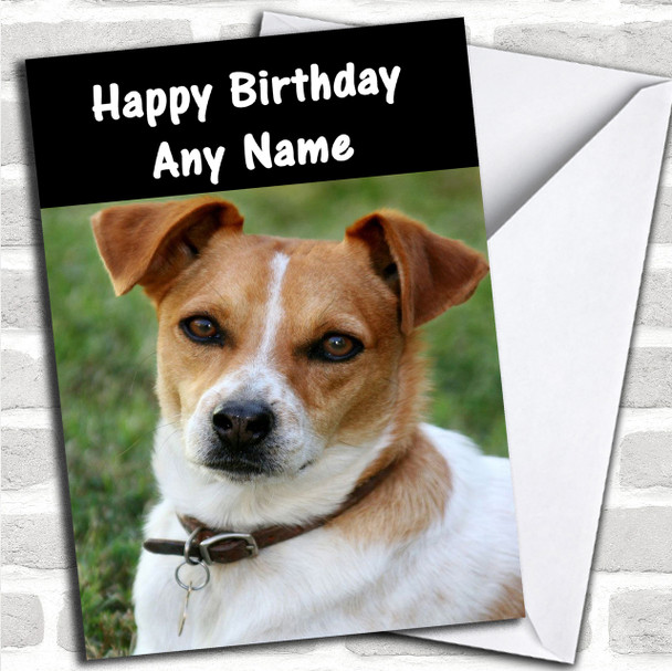 Jack Russell Dog Personalized Birthday Card