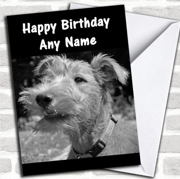 Irish Terrier Personalized Birthday Card