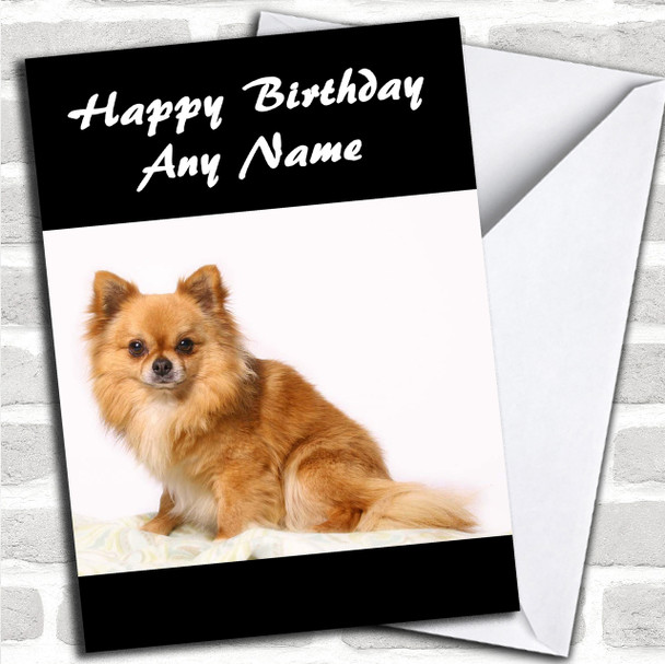 Little Chihuahua Dog Personalized Birthday Card