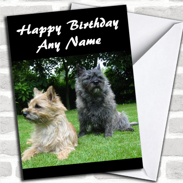 Cairn Terrier Dog Personalized Birthday Card