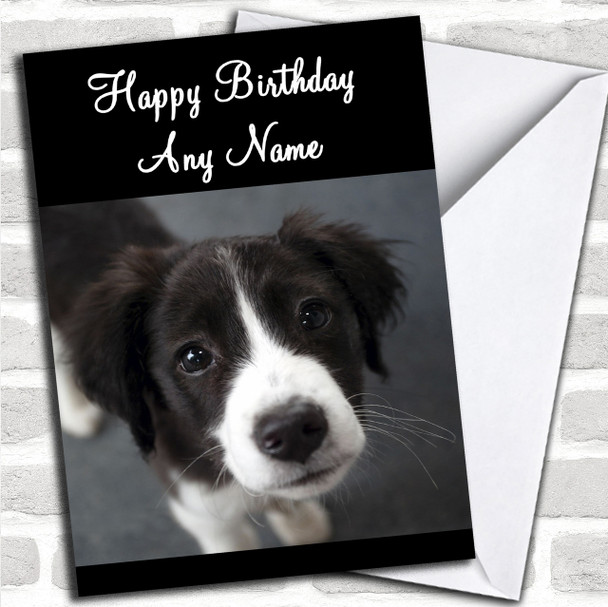Border Collie Puppy Dog Personalized Birthday Card