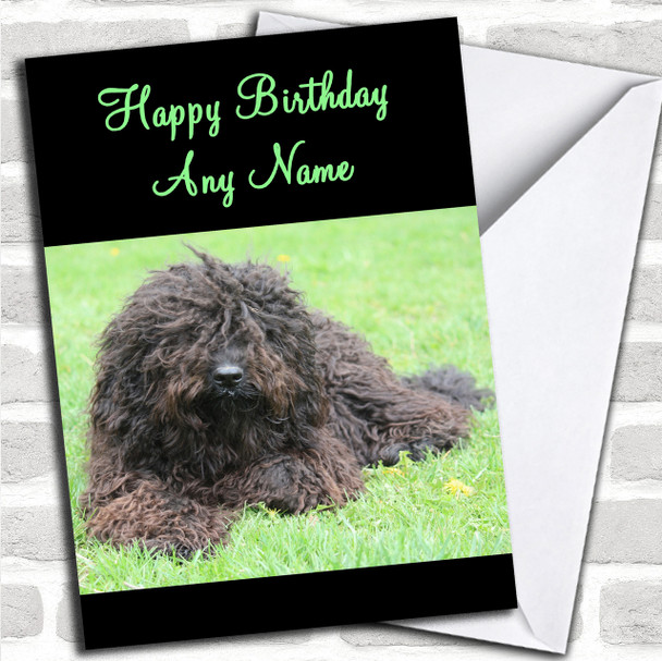Barbet Dog Personalized Birthday Card