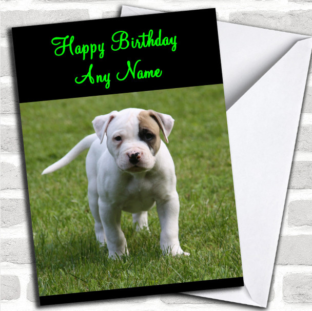 American Bulldog Puppy Dog Personalized Birthday Card