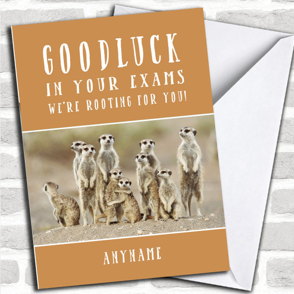 Funny Meercat Good luck Exams Personalized Good Luck Card