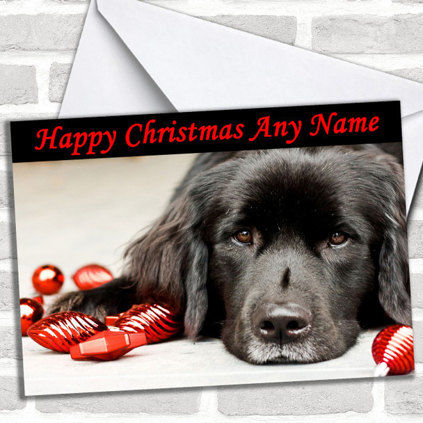 Black Dog & Xmas Decorations Personalized Christmas Card