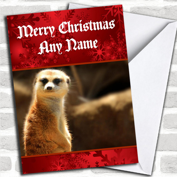 Cute Meerkat Personalized Christmas Card