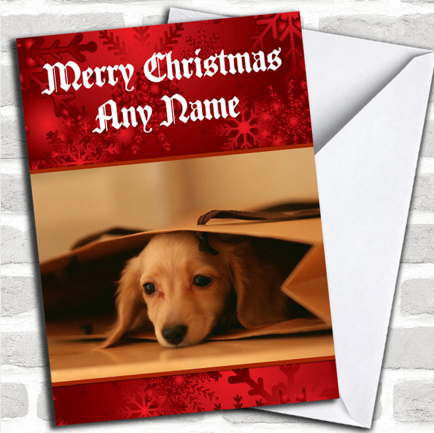 Dachshund Puppy Personalized Christmas Card