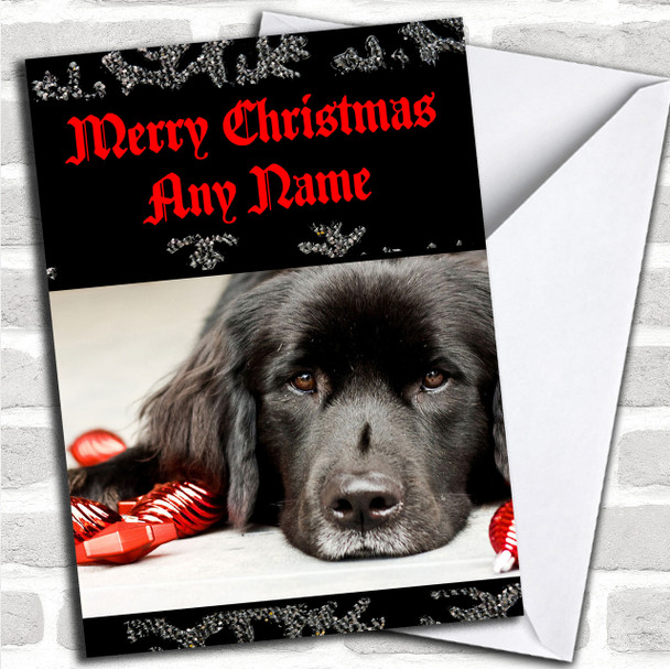 Black Dog Personalized Christmas Card