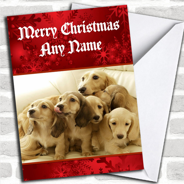 Dachshund Dogs Personalized Christmas Card