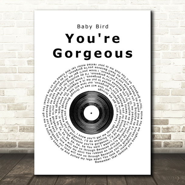 Baby Bird You're Gorgeous Vinyl Record Song Lyric Print