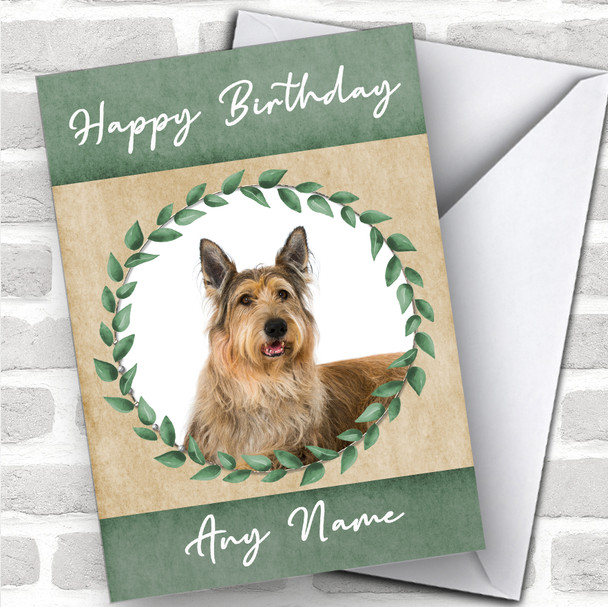 Berger De Picardie Dog Green Animal Personalized Birthday Card