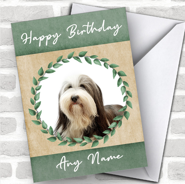 Bearded Collie Dog Green Animal Personalized Birthday Card