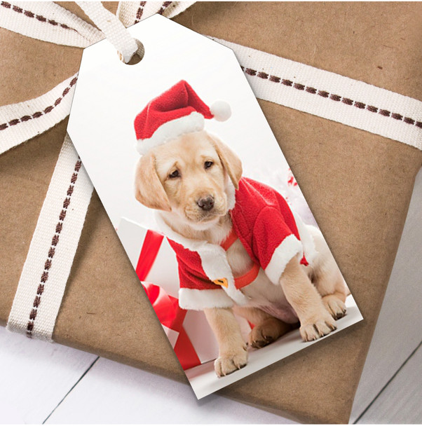 Dog In Gat Labrador Christmas Gift Tags