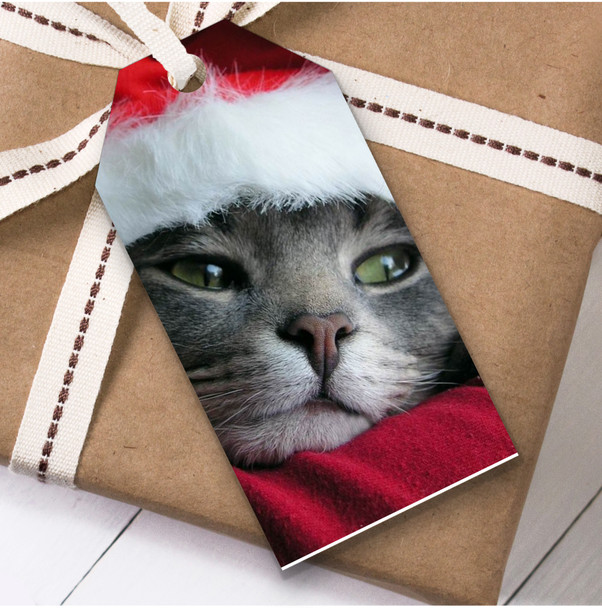 Cat Face Christmas Gift Tags