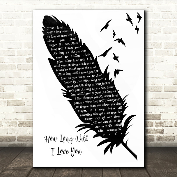 Ellie Goulding How Long Will I Love You Black & White Feather & Birds Song Lyric Quote Music Poster Print