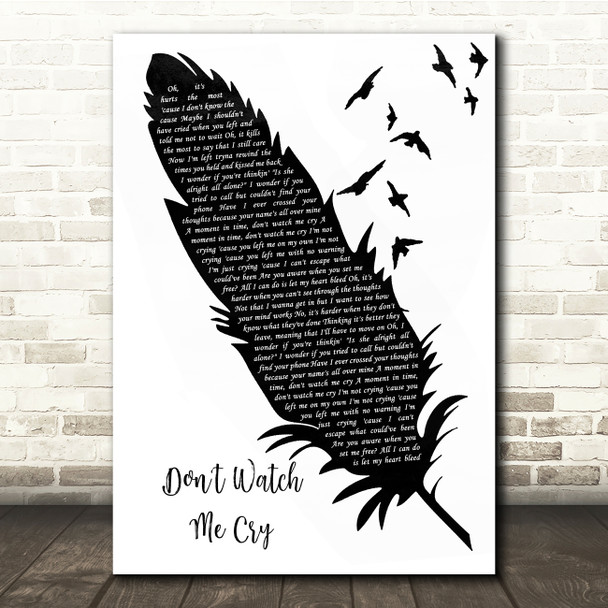 Jorja Smith Don't Watch Me Cry Black & White Feather & Birds Song Lyric Quote Music Poster Print