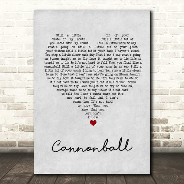 Damien Rice Cannonball Grey Heart Song Lyric Wall Art Print