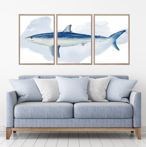 Mako Shark Watercolour Set Of 3 Wall Art Home Decor Picture Framed Prints