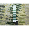 Modern and Contemporary Silk Hand Knotted Rug Green No Border 5.1X7.3 -O075477