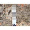 Oushak And Peshawar Wool Hand Knotted Rug Brown 3.1x4.9 -O020131
