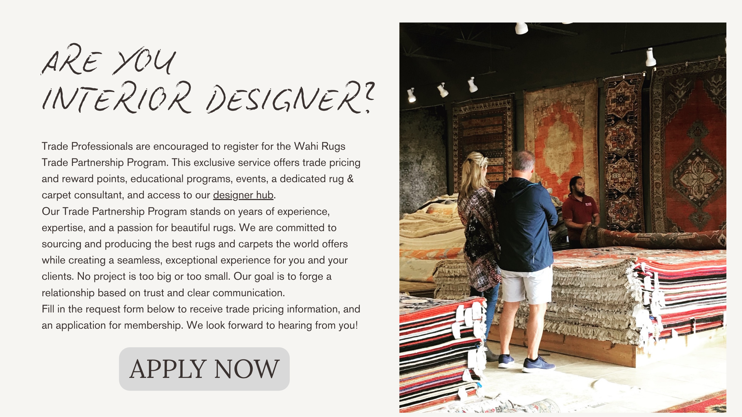 Interior Designer Program