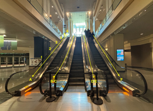 Atrium Lobby Escalator Runners - Level 1 to 2
