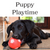 Puppy Playtime