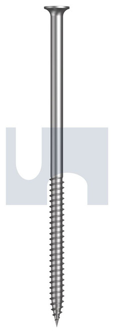 PLASTERBOARD SDS NEEDLE BUGLE | C1022 Hardened | ZYP DW NP BB PH:10-15X100 (DOVER WHITE - ZYP)