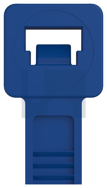 CABLE TIE - STANDARD | Tefzel | TEFZ BLU STD 100 TIE: 300X 4.8