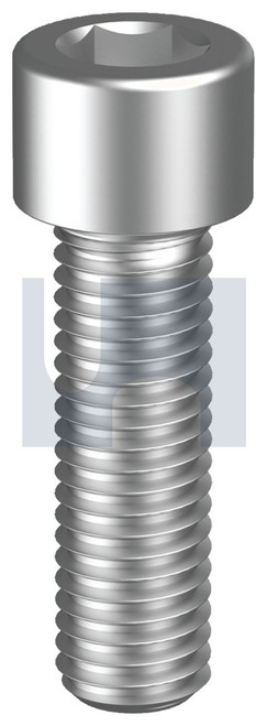 SOCKET HEAD CAP SCREW | 316 Stainless | 316 DIN912 SHCS: M2 X 10 (316 STAINLESS)