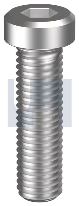 SOCKET LOW HEAD CAP SCREW | 304 Stainless | 304 DIN7984 LHCS: M6  X 12 (304 Stainless)