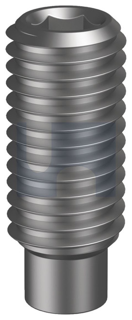 SOCKET SET SCREW DOG POINT | Alloy Steel | PLN SO SSSD: M6 X  16 (Plain)
