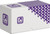 CUP HEAD BOLT & NUT | ISO Property Class 4.6 | Z/P 4.6 CUP B/N KIT: M10 X  60