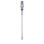 Main