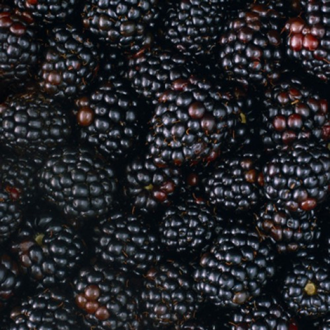 Blackberry