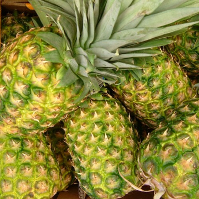 Pineapple