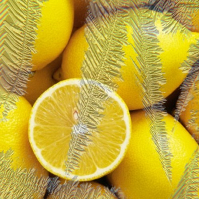 Pure ICE Lemon