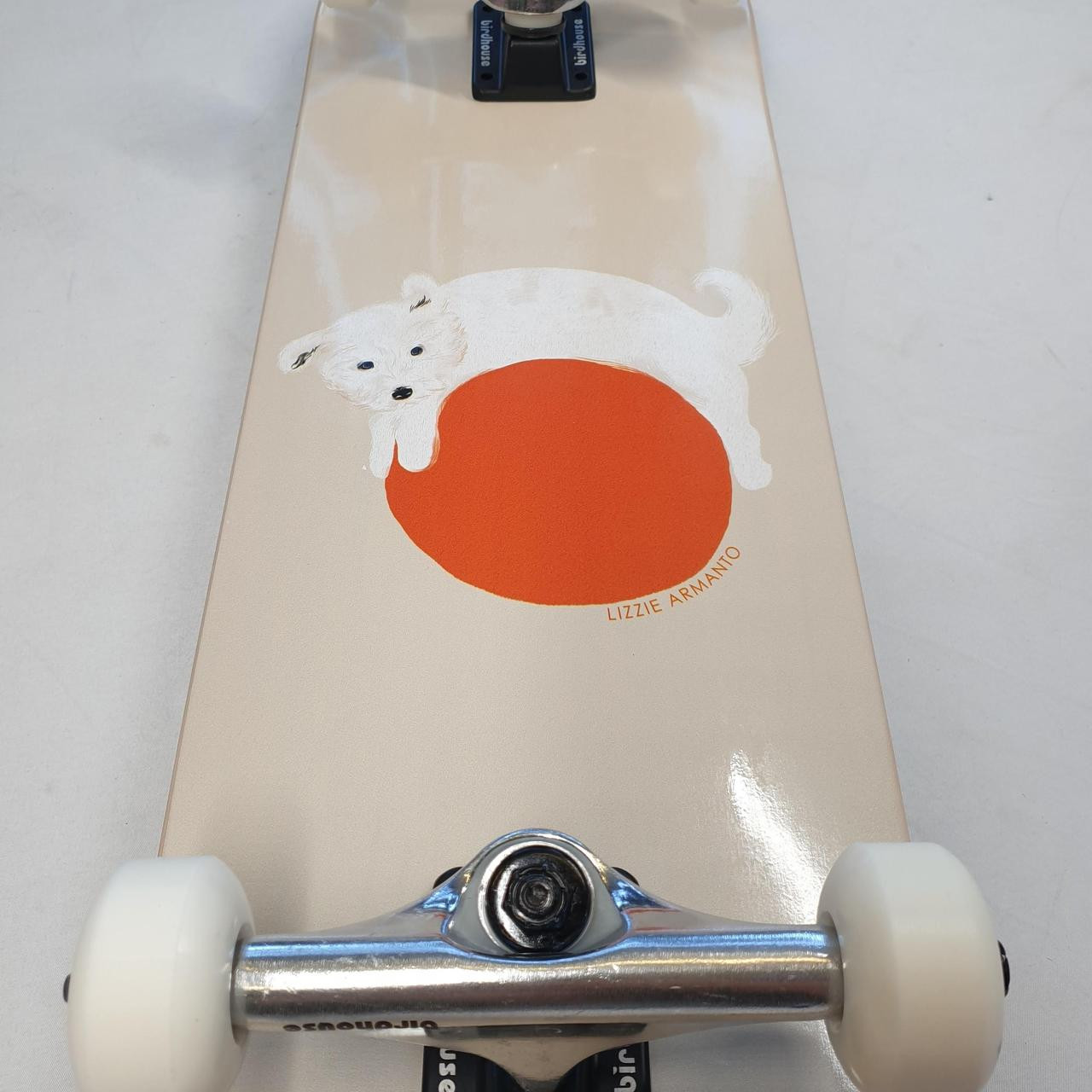 Birdhouse Lizzie Armanto Dog 8.25" Skateboard Complete