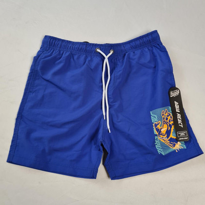 Santa Cruz Skateboards Split Stripe Screaming Hand Swim Shorts - Blue