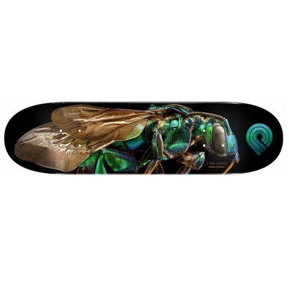 Powell Peralta X Levon Biss 8" Cuckoo Bee Skateboard Deck