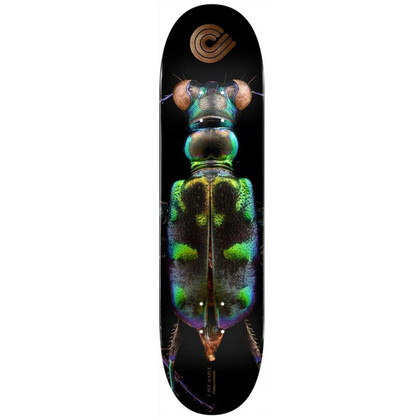  Powell Peralta X Levon Biss 8.25" Tiger Beetle Skateboard Deck