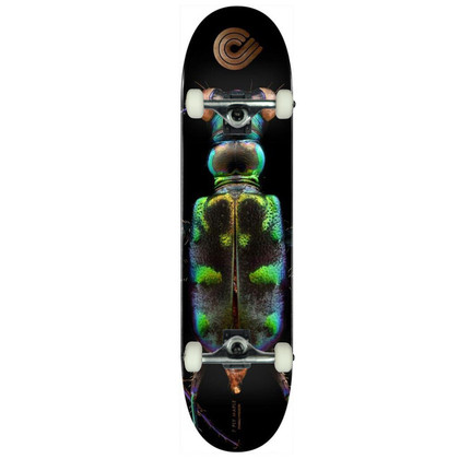 Powell Peralta X Levon Biss 8.25" Beetle Complete Skateboard