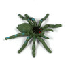 toy spider