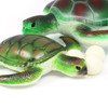 Turtle With Three Turtle Eggs Bundle