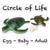 Turtle With Three Turtle Eggs Bundle