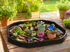 Outdoor play