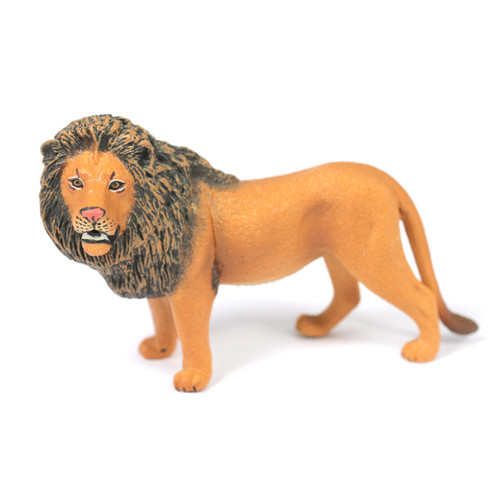 Small Lion Family, Different Sizes Realistic Detail Set of 6