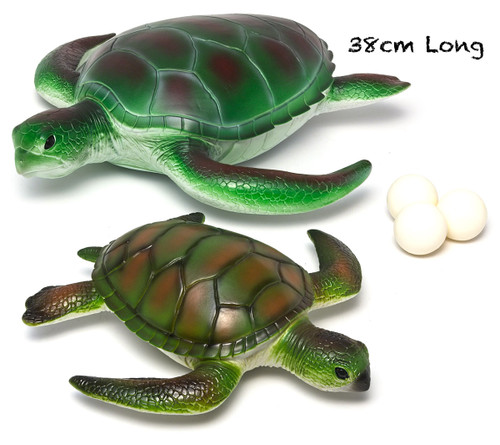 Turtle With Three Turtle Eggs Bundle