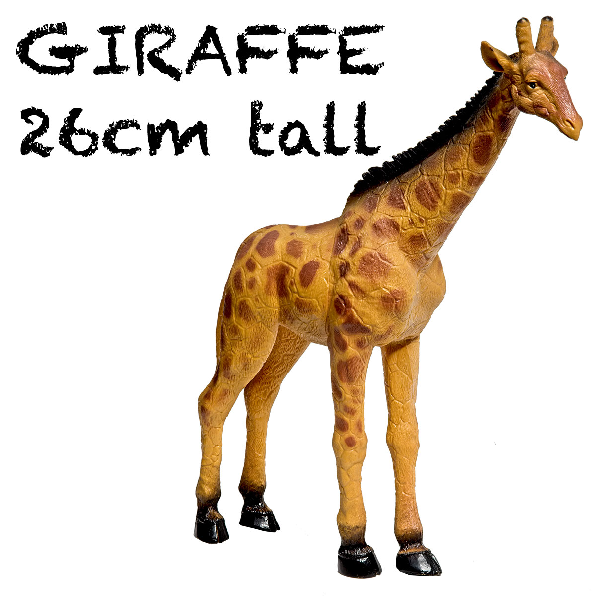 Safari Animals Medium Realistic and Lifelike Set of 6